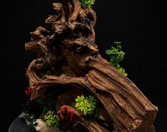 Aquarium/Terrarium Driftwood display with Slate Base Centerpiece (14"x12")