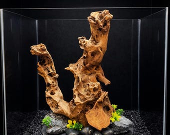 Aquarium/Terrarium Driftwood display  with Seiryu Stone, Slate Base Centerpiece (14"x12")