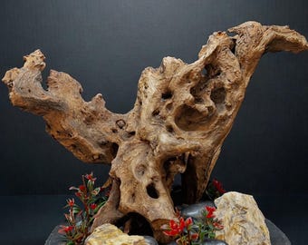 Aquarium/Terrarium/Paludarium  Driftwood Aquarium Decor – Slate Base Centerpiece Display