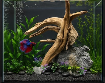 All Natural Spiderwood on Seiryu stone decor.Mounted on a slate base 8Lx8H