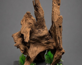 Aquarium/Terrarium Driftwood display  with Seiryu Stone, Slate Base Centerpiece (11x8)