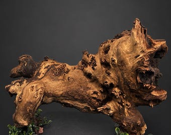 Aquarium/Terrarium Driftwood centerpiece mounted on Slate Base (14Lx10H),Bulldog