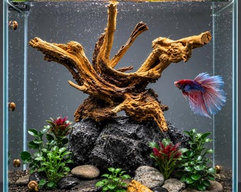 All Natural Spiderwood on Seiryu stone decor.Mounted on a slate base 8Lx8H