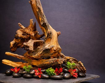 Natural Driftwood Aquarium Decor with Slate Base – Table Display