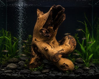 Chunky heavy Driftwood centerpiece mounted on Slate Base (13x9)