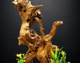 Large Driftwood Decor Sculpture: Aquarium Ready, Natural Slate Base (14"x12")