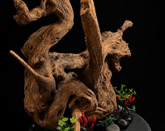 Aquarium/Terrarium Driftwood display with Slate Base Centerpiece (16x14)