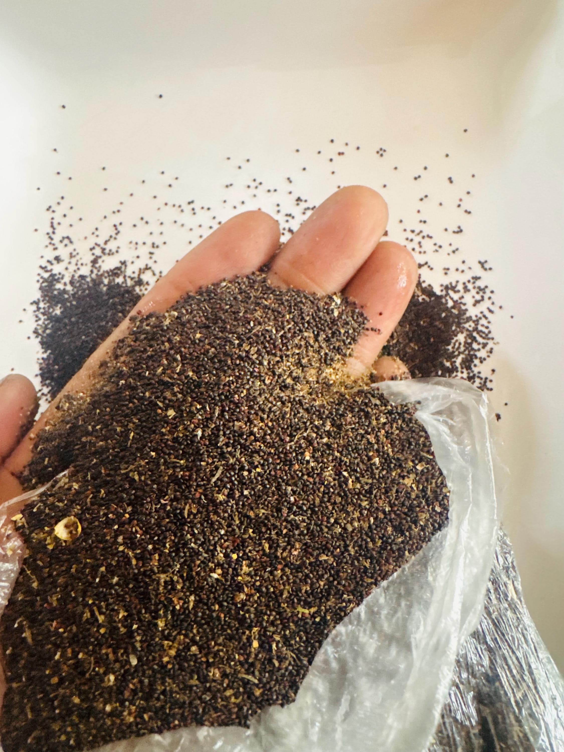 Gbure Organic Waterleaf , Efo Gbure / Ceylon Spinach - Etsy