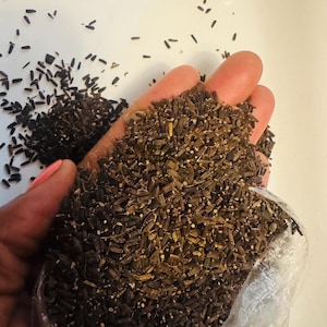 May include: A collection of small, dark brown, cylindrical seeds with textured surfaces. The seeds are gathered in a pile, with some loose seeds scattered nearby. The seeds appear dry and have a uniform, elongated shape with light-colored tips.