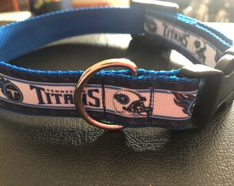 titan dog collar
