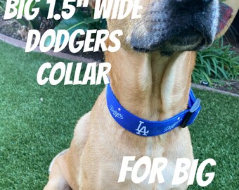 dodgers cat collar