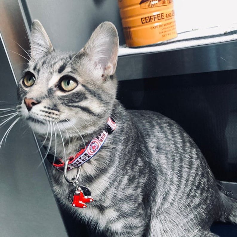 Boston Red Sox custom Dog ID Tag red Red Sox fan Fan Dog Etsy