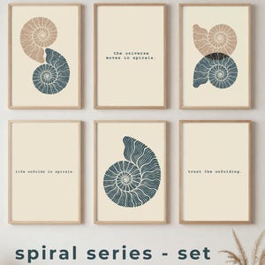Ammonite Wall Art Set of 6 Prints | Spiral Art Prints | Minimalist Botanical Fossil Art | Neutral Boho Wall Decor | Printable Art Set