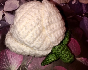 Flower Doll Amigurumi Fairy: Reversible Sensory Toy