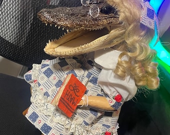 Lalka z głową aligatora i porcelanowym ciałem, uczennica – lalka artystyczna Oddity