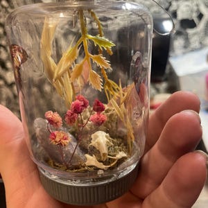 May include: A clear glass Christmas ornament filled with dried flowers, a small animal skull, and butterfly accents. The ornament has a silver cap and a silver hanging loop. The interior features pink and yellow dried flowers.