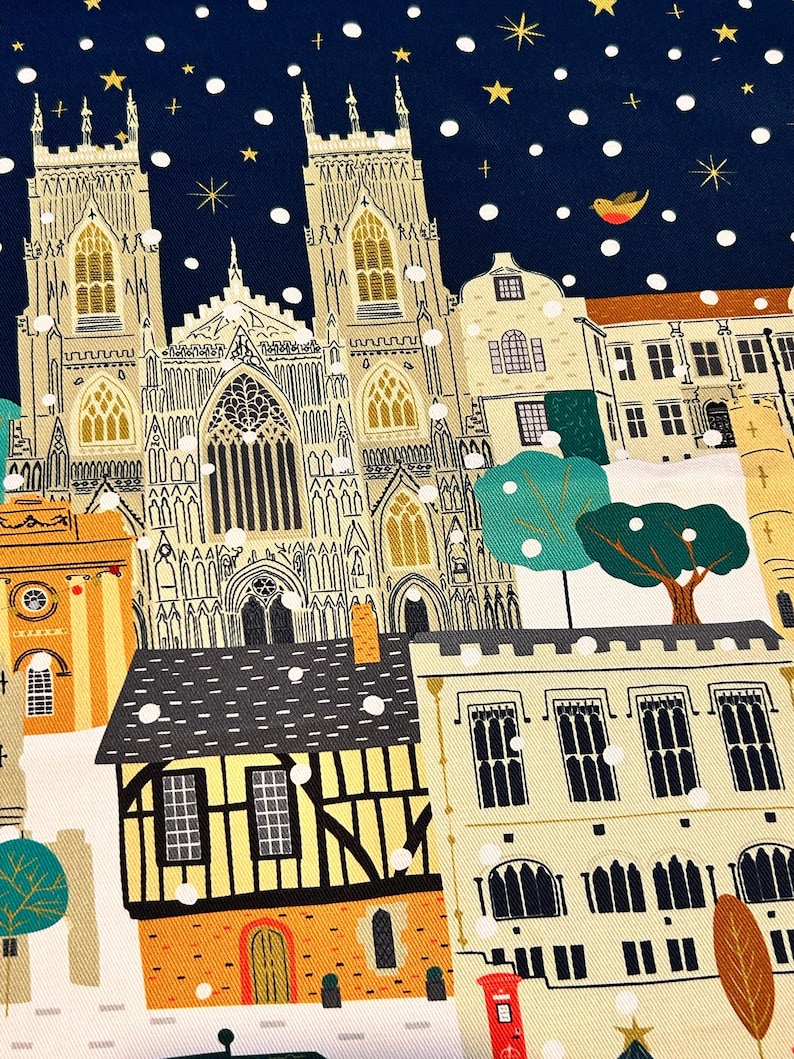 May include: A colorful illustration of a snowy city scene with a large cathedral in the background. The illustration features a variety of buildings, trees, and a red mailbox. The sky is dark blue with white snowflakes.