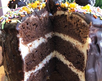 Vegan Gluten Free Chocolate Vanilla sprinkles    birthday cake 8"