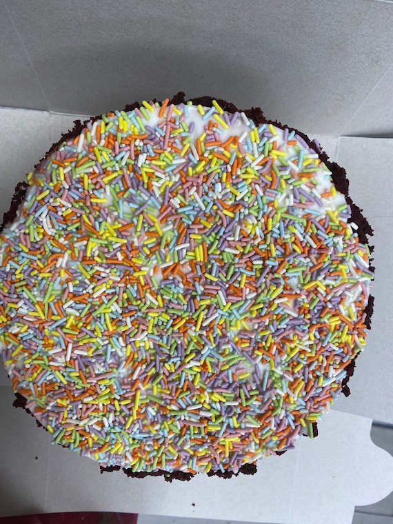 Vegan Chocolate vanilla rainbow sprinkles crumb   cake 8” dairy free, egg free.