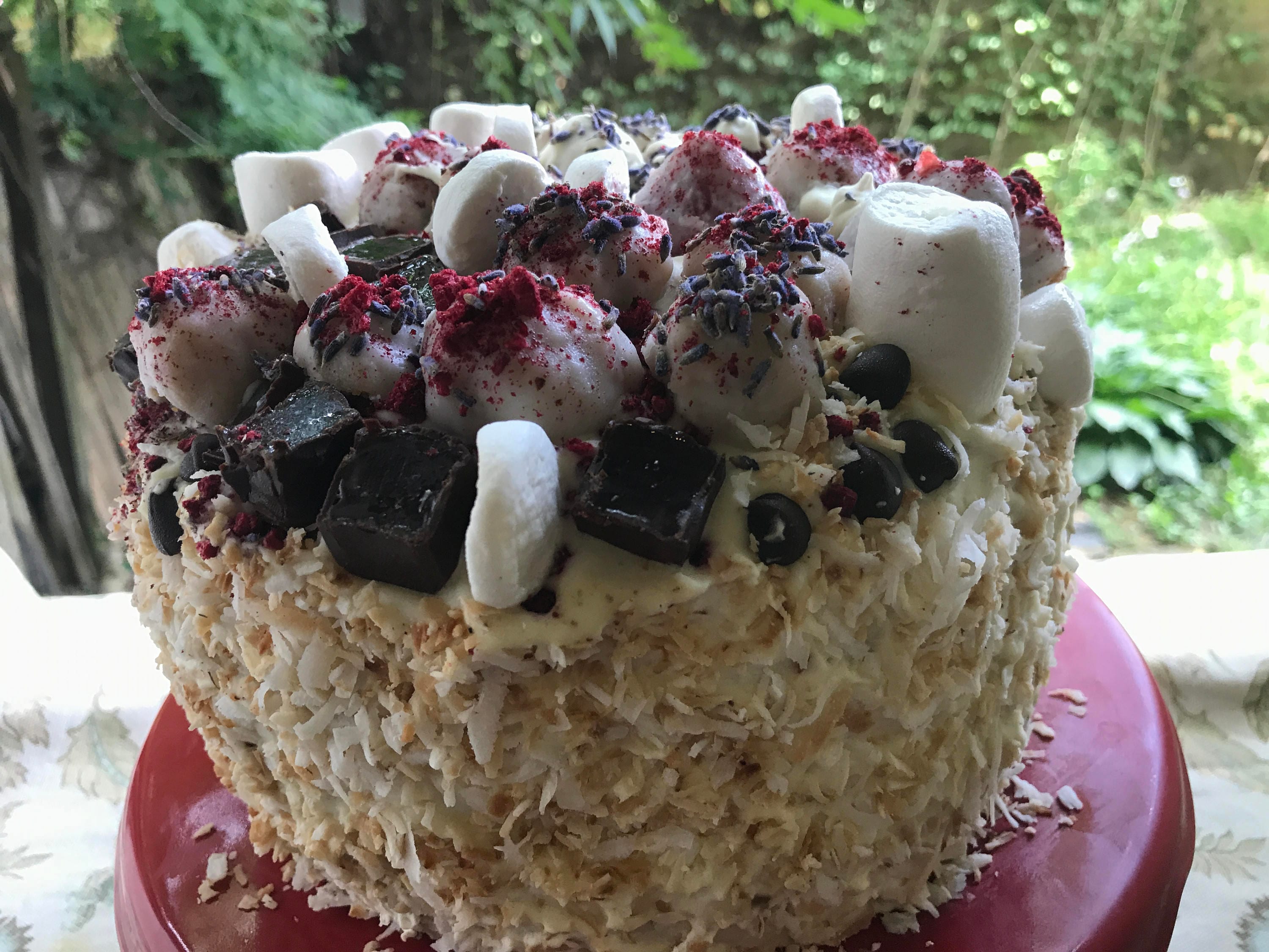 Vegan Silly Vanilla Coconut Marshmallow Raspberry Birthday Cake Plus Chocolate Fruit Jellies No Eggs No Dairy