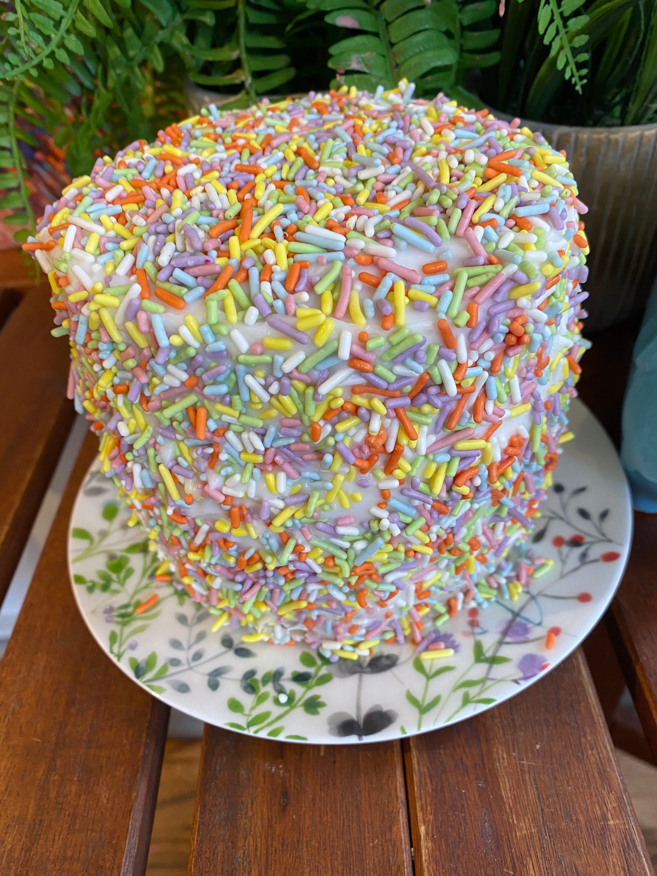 Vegan Vanilla rainbow sprinkles cake 5”6”