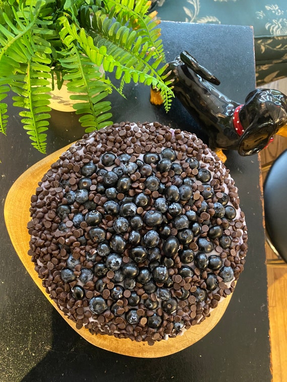 Vegan chocolate vanilla blueberry chocolate chip cake 8” no eggs, no dairy.