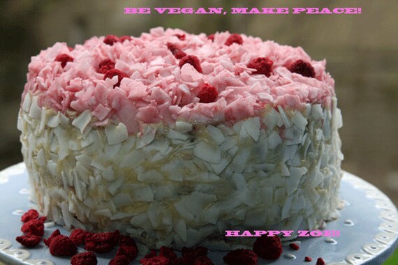 Vegan gluten free Raspberry Dream Vanilla Coconut Cake, love, animal free cruelty,no eggs,no dairy.