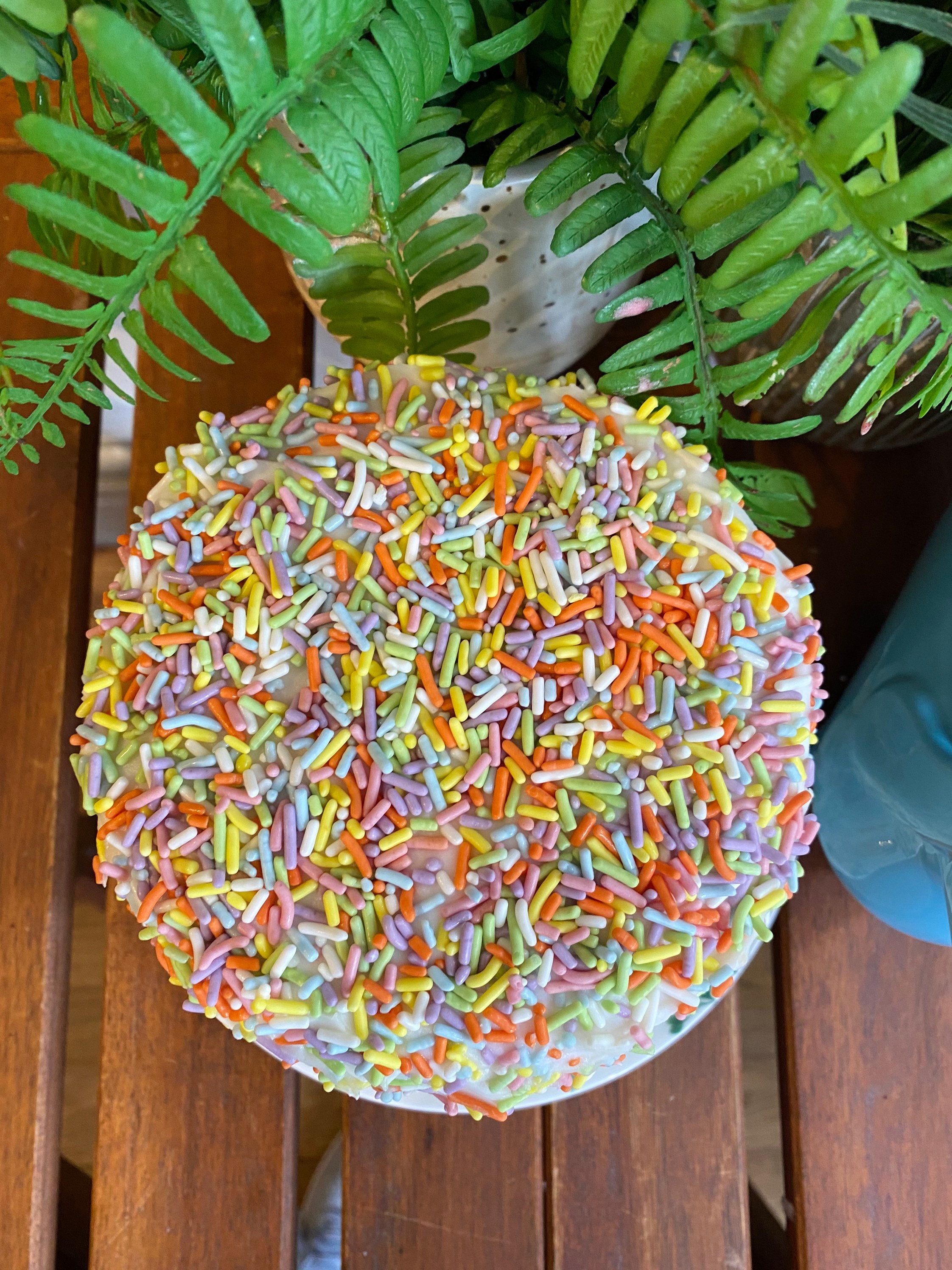 Vegan Vanilla rainbow sprinkles cake 5”6”