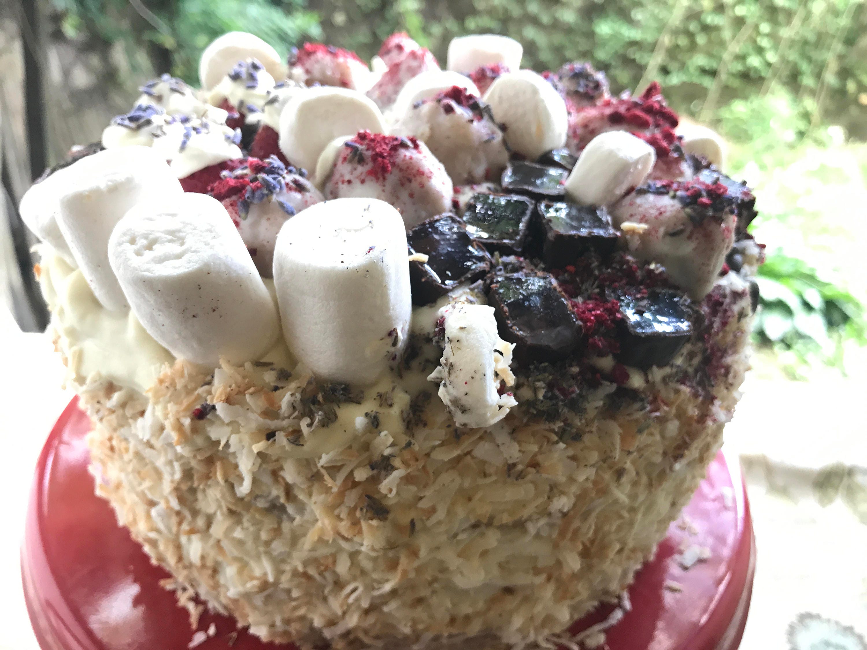 Vegan Silly Vanilla Coconut Marshmallow Raspberry Birthday Cake Plus Chocolate Fruit Jellies No Eggs No Dairy