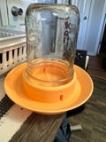 Wide Mouth Chick Waterer