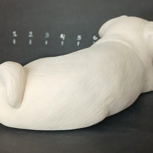May include: White ceramic pug dog sculpture in a lying down position. The sculpture has a smooth, textured surface.