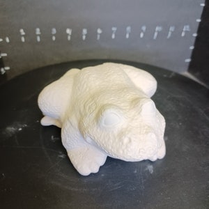 Statue En Biscuit De Céramique à Peindre - Fée Assise Sur Une Grenouille - Fantaisie, Création Artistique DIY