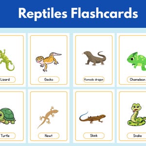 Puede incluir: Un conjunto de ocho tarjetas educativas tituladas Reptiles Flashcards, con ilustraciones coloridas de un lagarto, gecko, dragón de Komodo, camaleón, tortuga, tritón, eslizón y serpiente, cada uno con su nombre impreso en un recuadro.