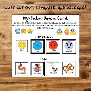 Emotional Regulation, Autism visuals, Coping Strategies, Emotions chart digital download