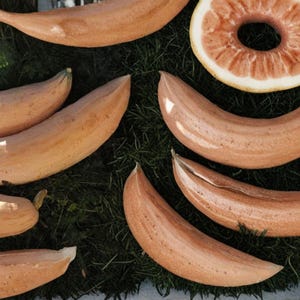 May include: An overhead shot of several light brown, elongated objects resembling bananas, along with a sliced grapefruit. The objects are arranged on a bed of dark green, textured material.