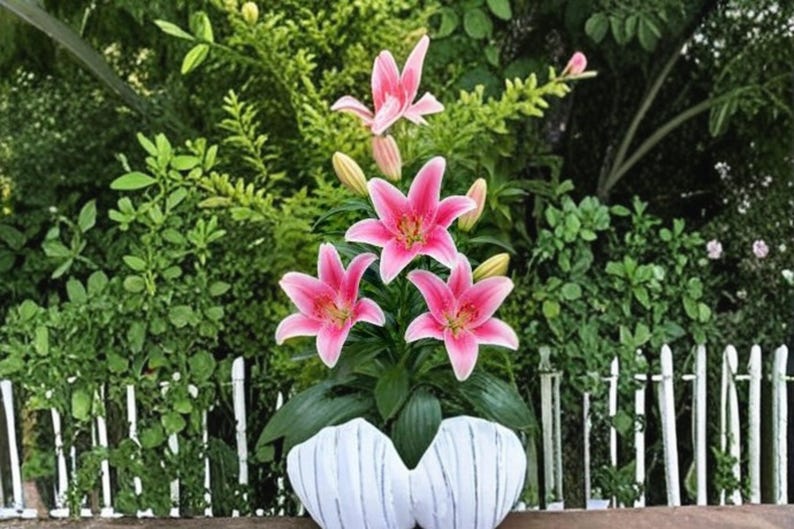 AnnisaGarden Sorbonne Oriental Lily