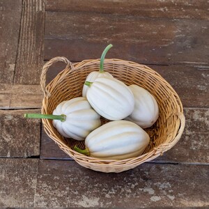 May include: A round, light brown woven wicker basket with a single handle containing five small, white, ribbed acorn squashes. Each squash features a smooth, matte surface and a short, light green stem protruding from the top of the vegetable.