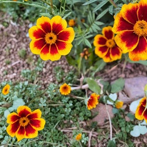 May include: A rustic wooden sign with the text "Welcome to our home" in white lettering. The sign features a distressed finish and a simple, inviting design, perfect for a front porch or entryway.