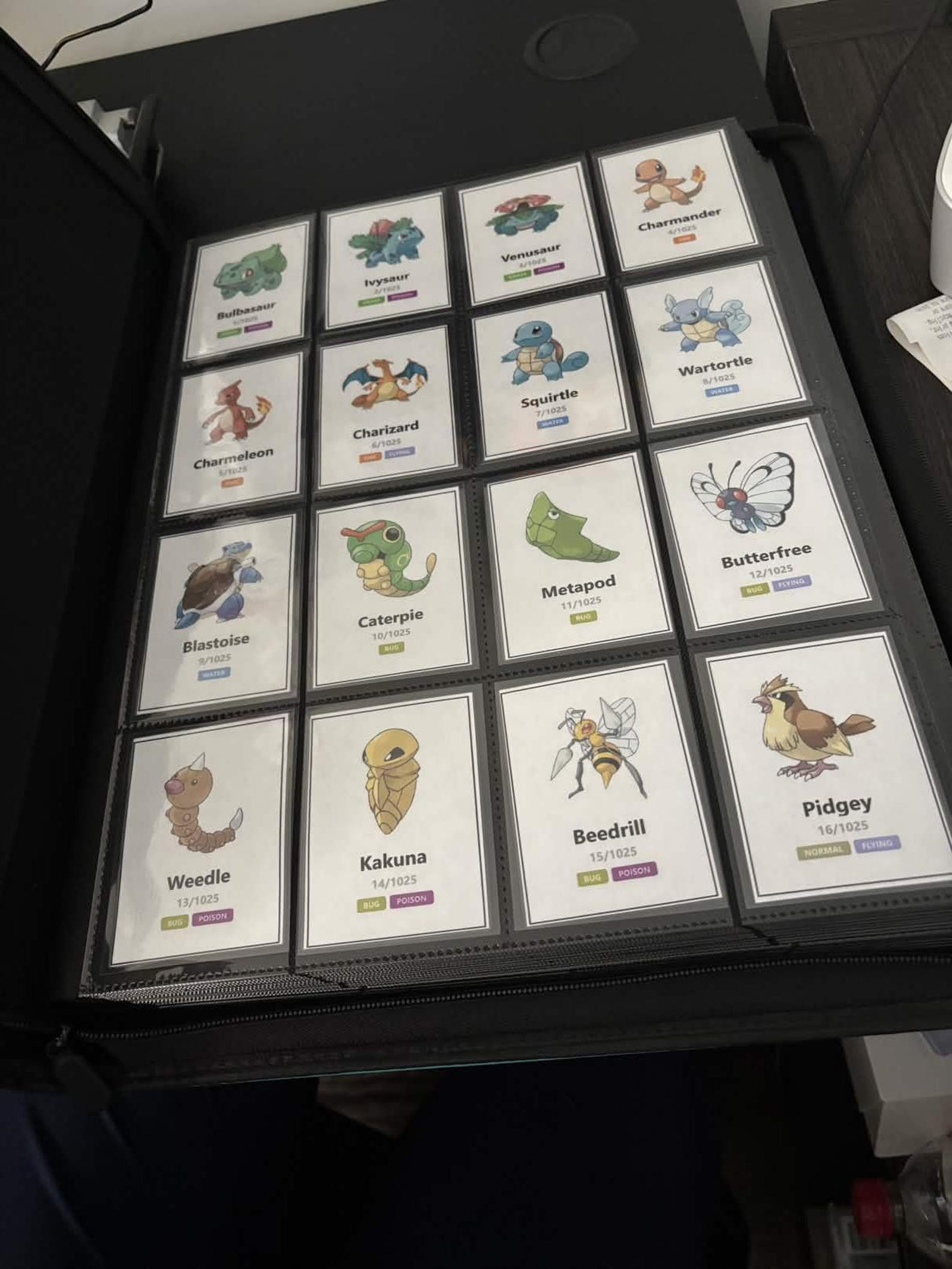 Cute Laminated Pokémon Binder Placeholders | Pokédex Tracker Cards ...