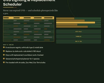 Reptil UVB & Beleuchtung Ersatz-Planer | Gehäuse Lichtzyklus Tabelle | Digitaler Download