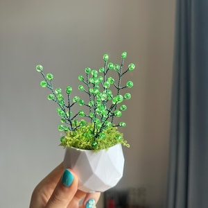 May include: A small, white geometric planter holding a miniature plant with green beaded leaves and moss. The plant's stems are dark green, and the beads are a vibrant green color. The planter is held in a hand with turquoise nail polish.