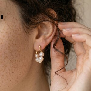Puede incluir: Pendientes de aro dorados con múltiples perlas blancas. Los pendientes son pequeños y delicados, con un diseño clásico. Las perlas son redondas y tienen un brillo lustroso. Los pendientes se muestran en una oreja.
