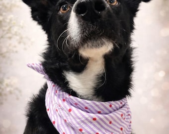Bandana per cani fatta a mano: elegante e comoda per il tuo amico a quattro zampe.
