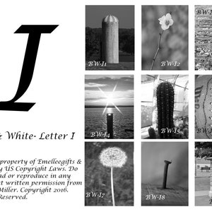 Alphabet Letter {I} Art Photography~ 4x6 Digital Print ~ 9 Letter Photos Included
