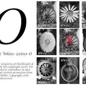 Alphabet Letter {O} Art Photography~ 4x6 Digital Print ~ 8 Letter Photos Included