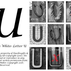 Alphabet Letter {U} Art Photography~ 4x6 Digital Print ~ 6 Letter Photos Included