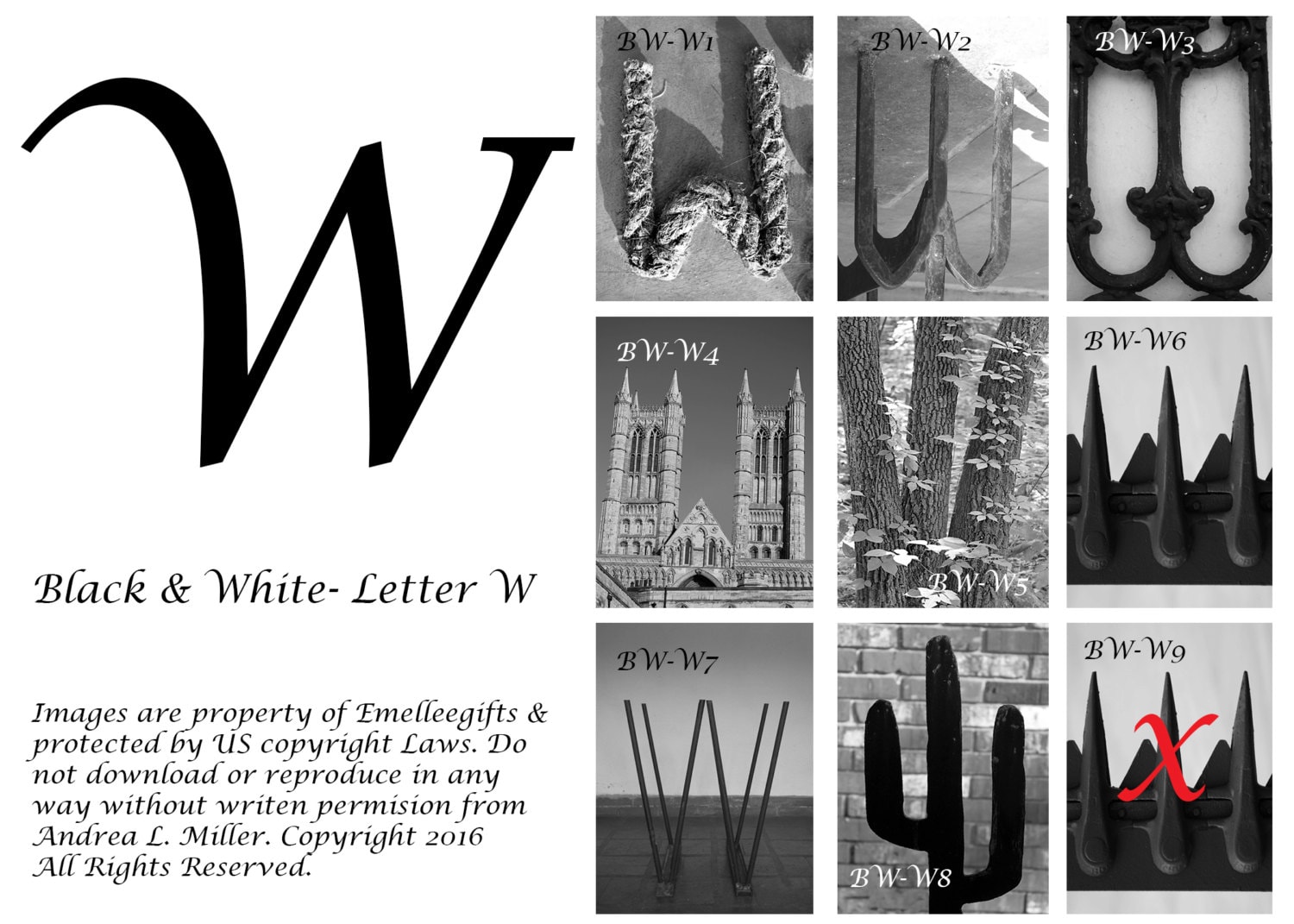 Alphabet Letter {W} Art Photography~ 4x6 Digital Print ~ 8 Letter