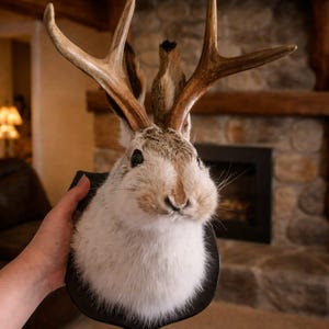 Cabeza de conejo Jackalope para colgar en la pared con astas, decoración rústica de pared con animales, escultura de conejo disecado artificial, decoración para el hogar con temática de bosque en el dormitorio.