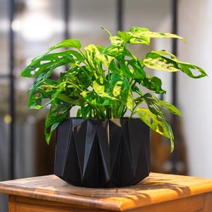 May include: A white ceramic mug with a black handle and the text "But First, Coffee" in a bold, black font. The mug is set against a blurred background, suggesting a cozy setting.
