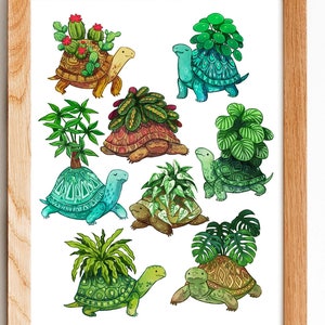 Turtle Planters Illustration Art Print 8by10, 8.5 by 11, wall art, illustration, animal art, fern, cactus, pathos , house plants, gardener